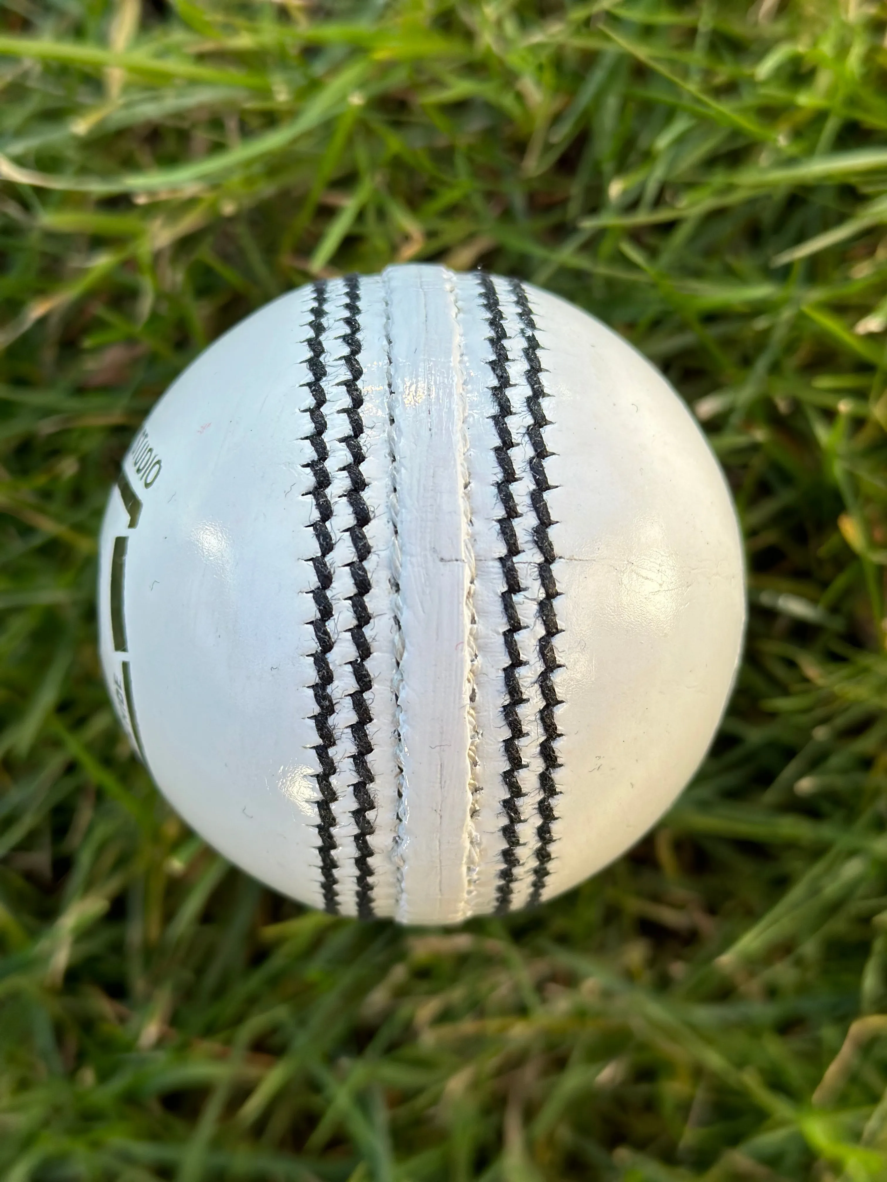 GSS ODI Cricket Ball